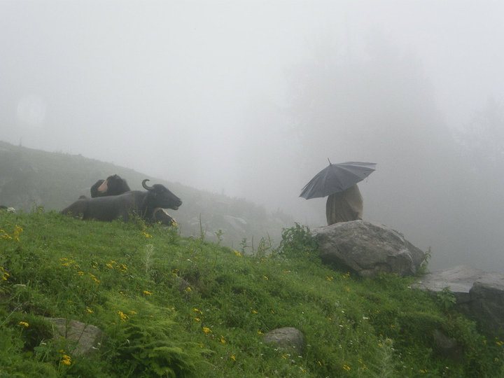 Monsun in Indien