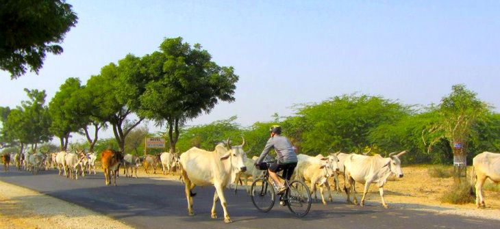 Rajasthan Fahrradtour