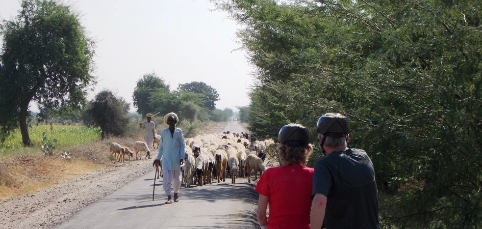 Rajasthan Fahrradtour