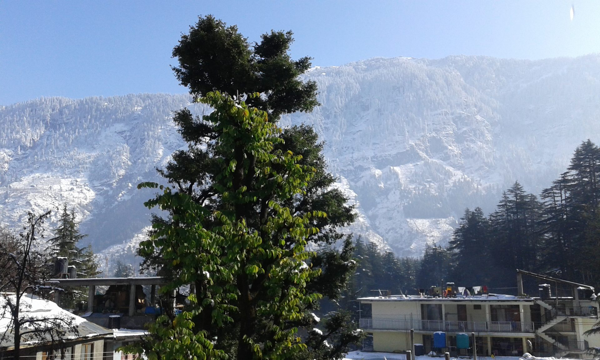 Blick aus meinem Fenster