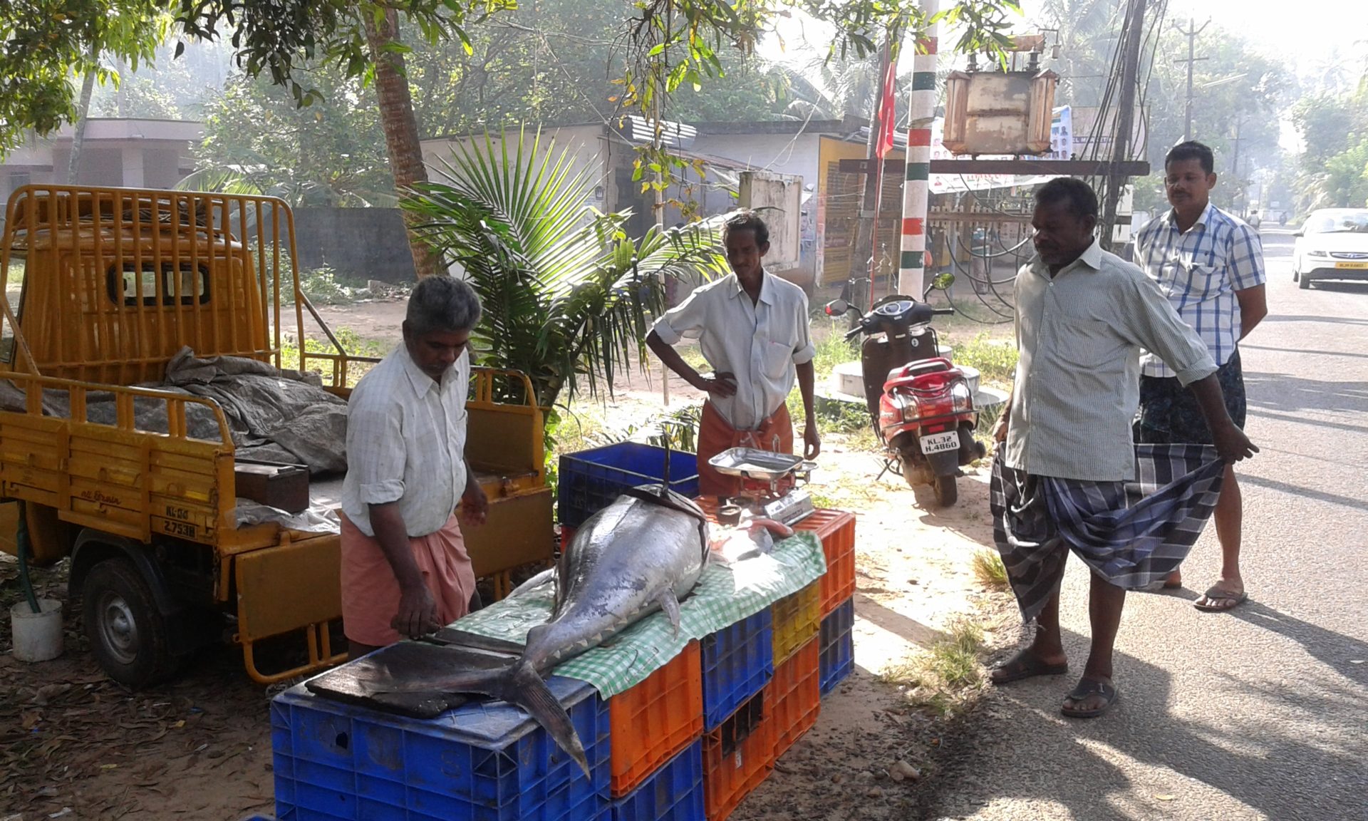 Kerala Strand