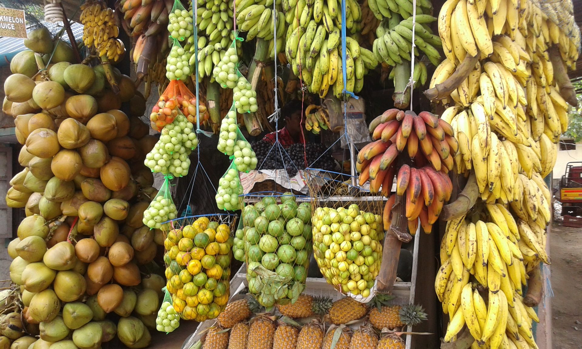 Ganz besonderes Obst in Indien - Chalo!Reisen