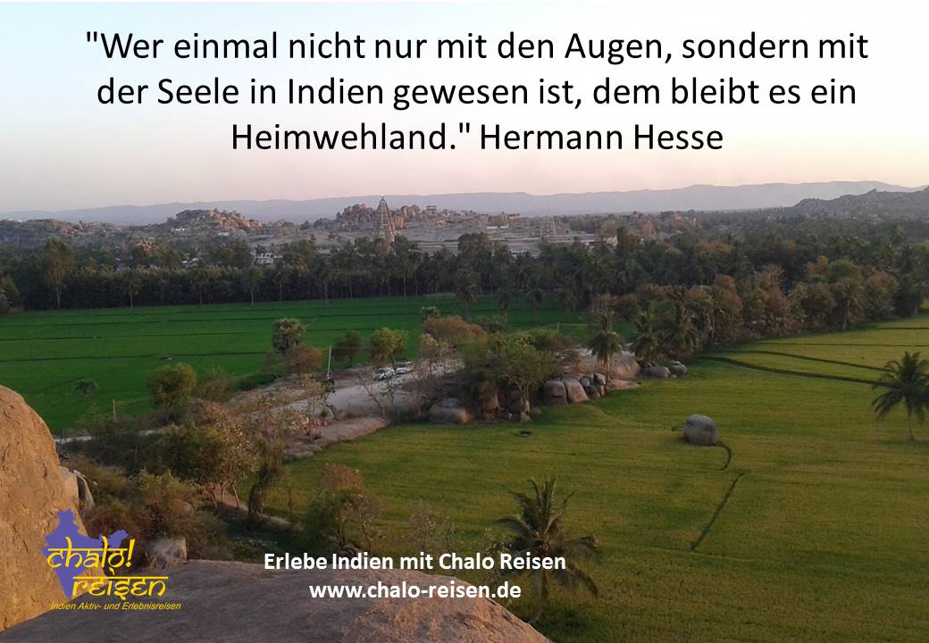 Hermann hesse zitate bäume