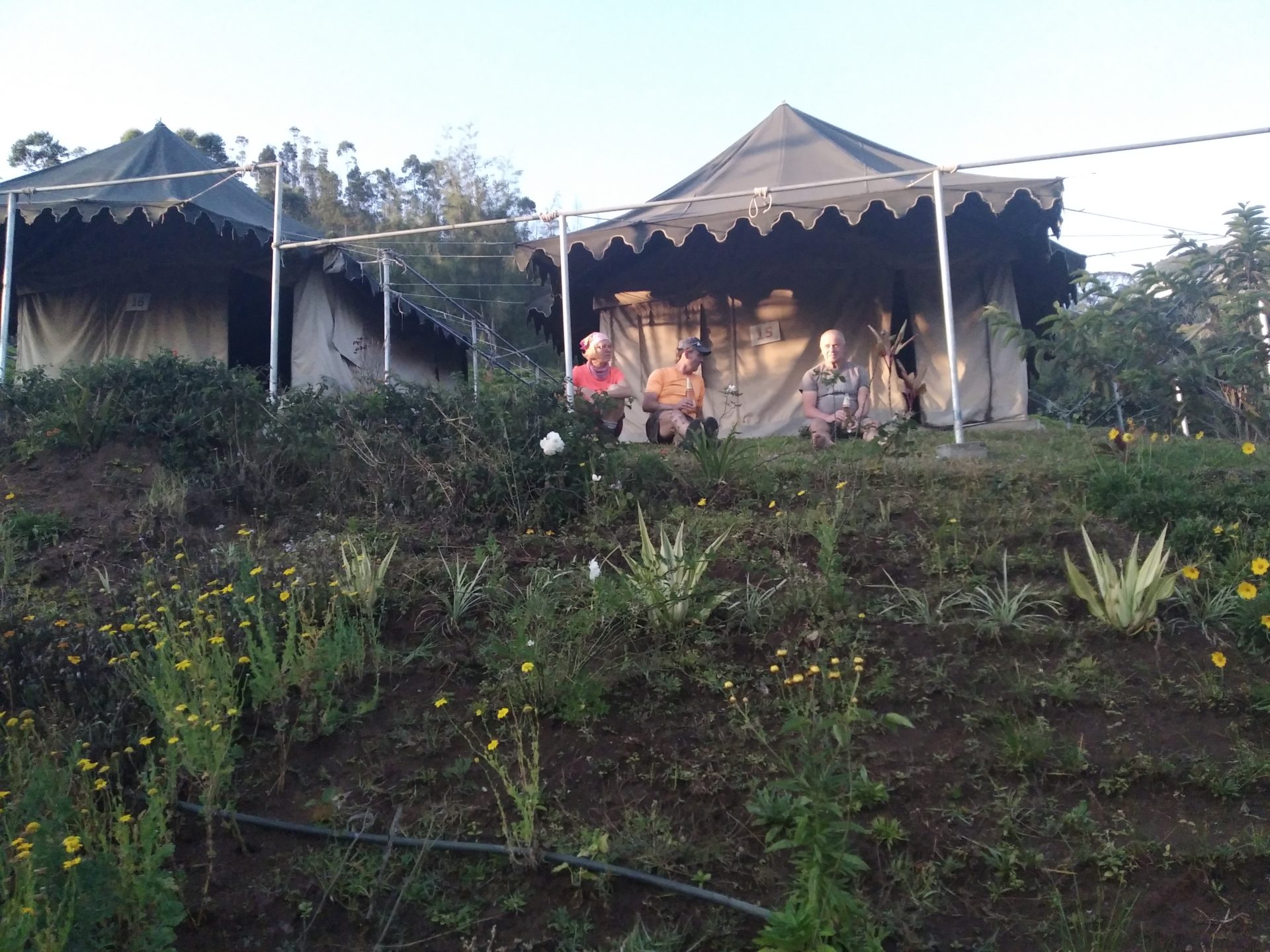 Yogareise Weihnachten 2022 Yoga Camp SPEZIAL in Kerala über Weihnachten und Neujahr Chalo!Reisen