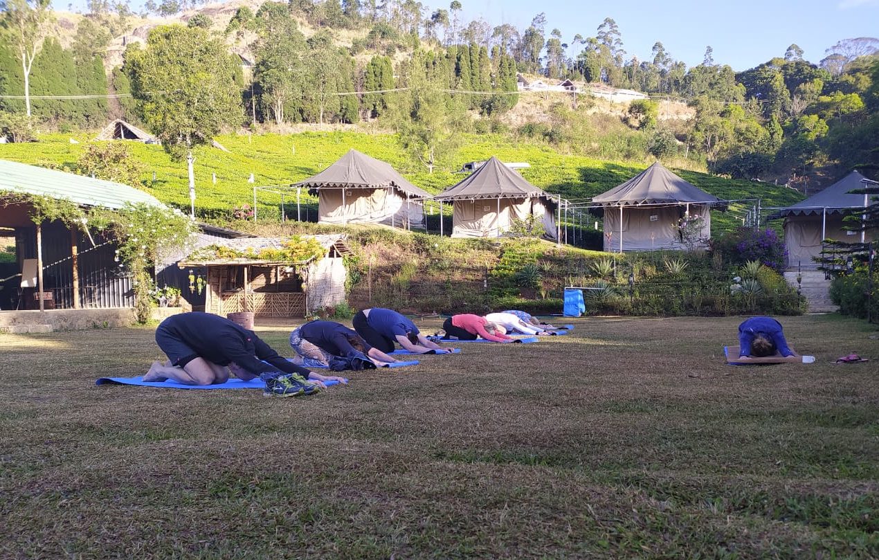 Yogareise Weihnachten 2022 Yin Yoga Lehrer Ausbildung in Kerala über Weihnachten und Silvester