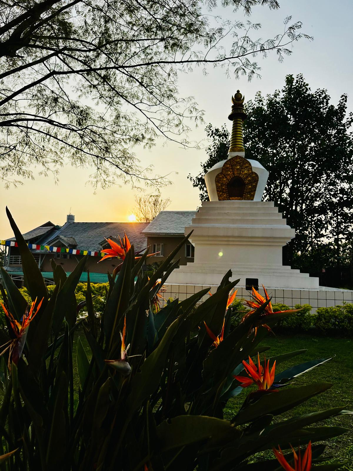 Ein einwöchiges begleitets buddhistisches Klosterretreat in Indien